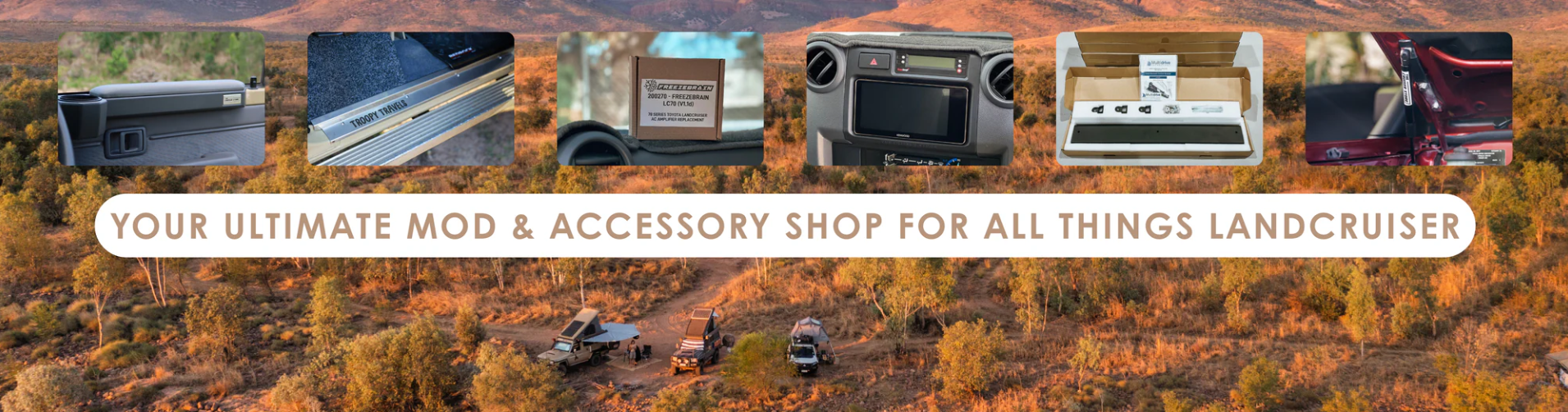 The Cruiser Store storefront preview